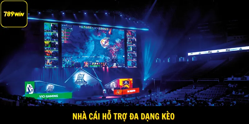 Nhà cái cung cấp nhiều kèo cược hay 