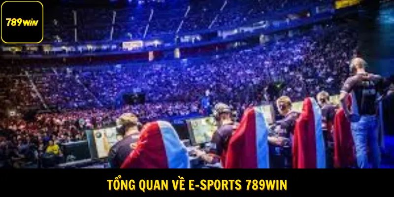 Đôi nét chính về E-sports 789win