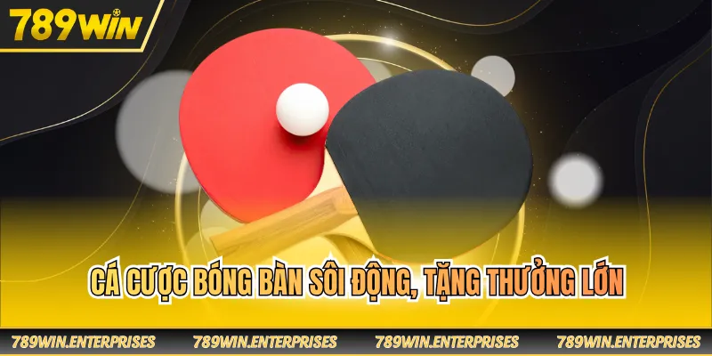 Cá cược bóng bàn sôi động, tặng thưởng lớn
