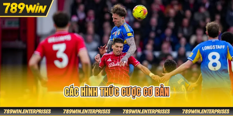 Các hình thức cược cơ bản